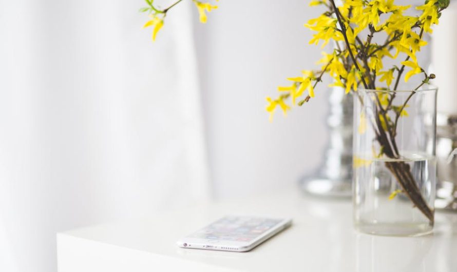 Using Links in Instagram Bio to Boost USA Engagement