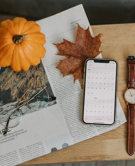 Top Features of Linktree for USA Content Creators